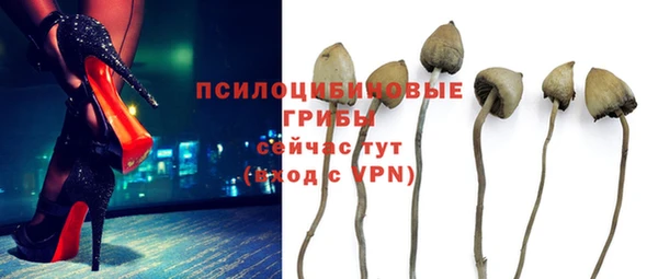 круглые Аркадак