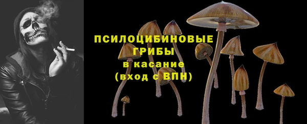 экстази Арсеньев