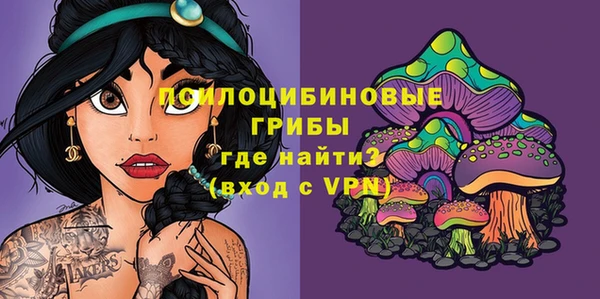 экстази Арсеньев