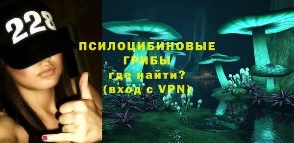 экстази Арсеньев