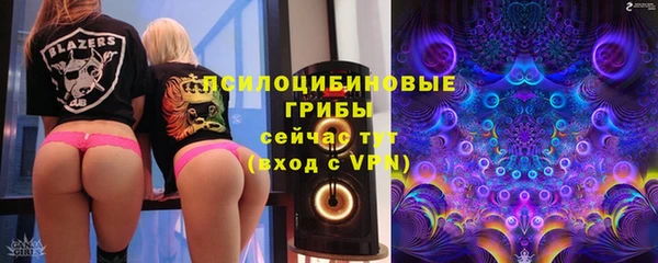 круглые Аркадак